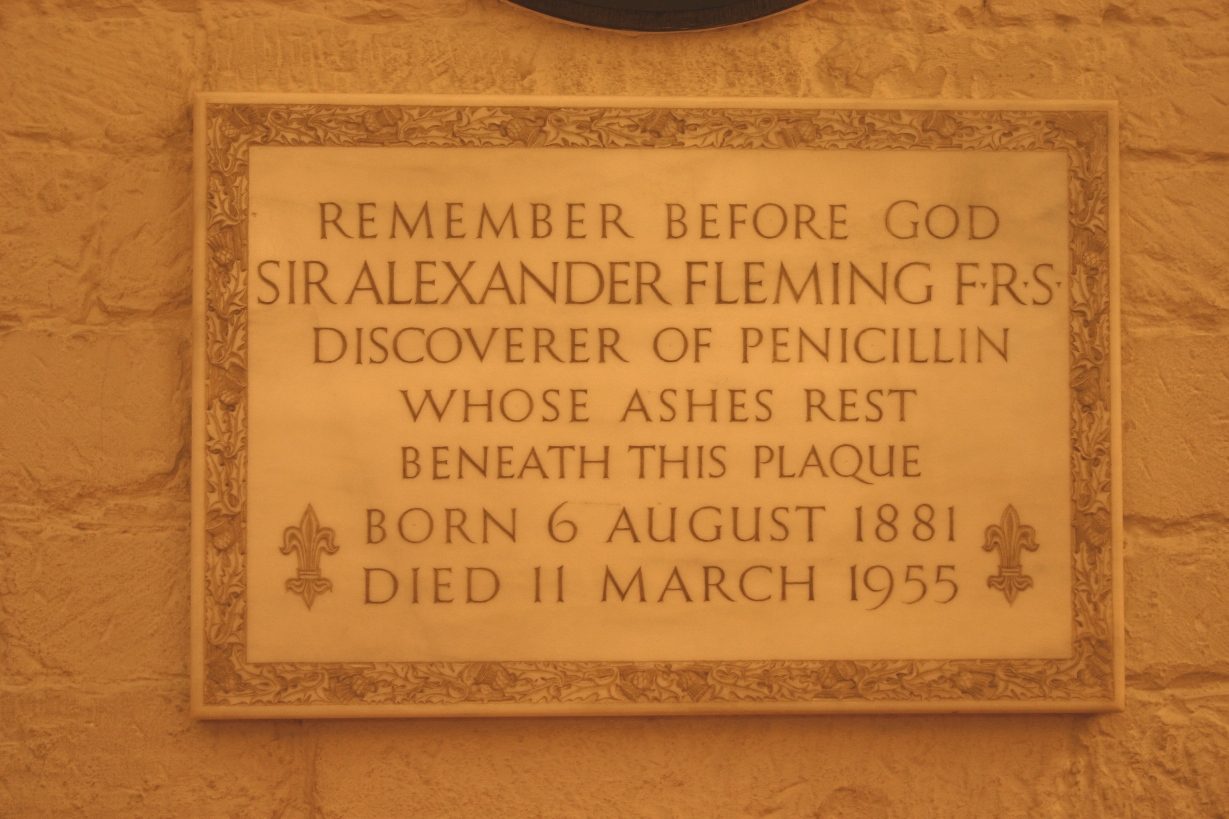 Alexander%20Fleming%27s%20tomb%2C%20St%20Paul%27s%20Cathedral%2C%20London%20-%2002.JPG